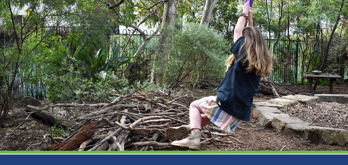 Course Image Active play and risk