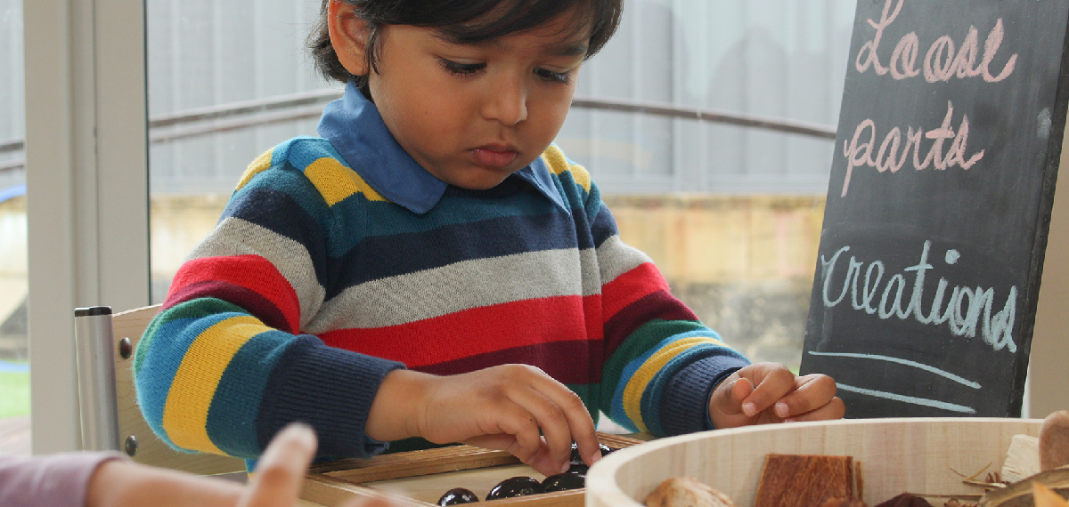 Course Image Understanding Brain Development 